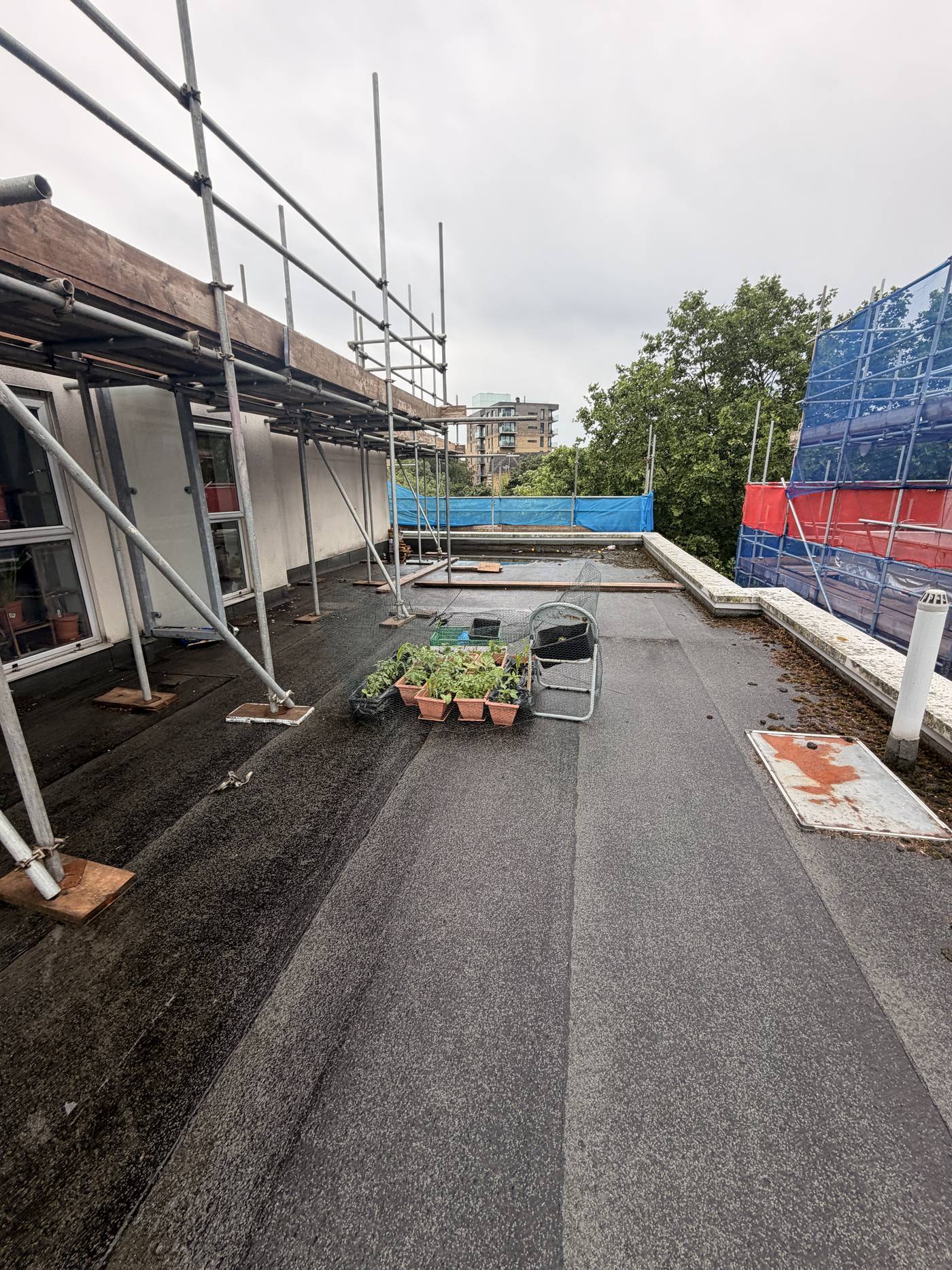 Roof area with scaffold and access in place