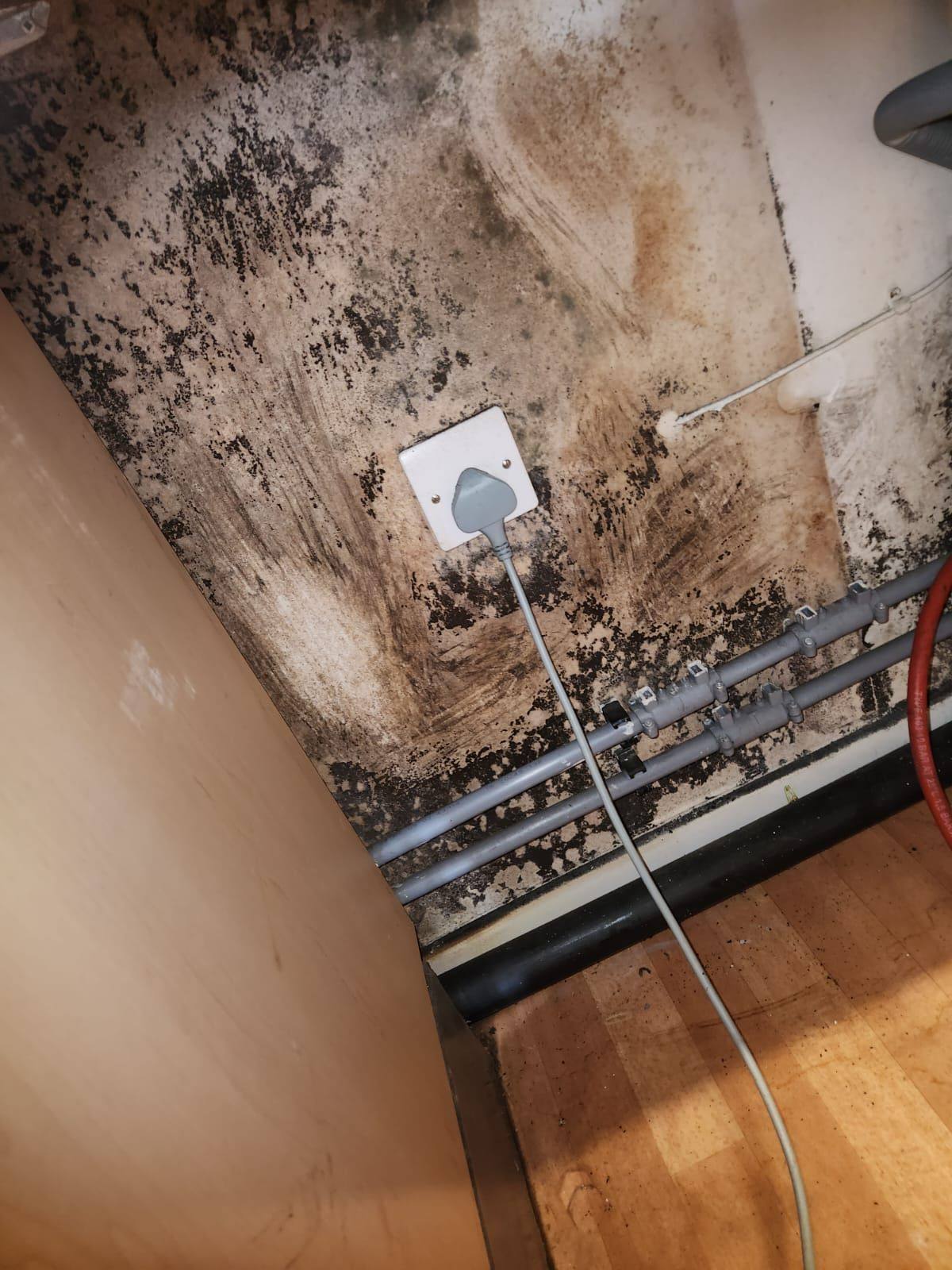 Heavy mould growth around electrical socket and service runs