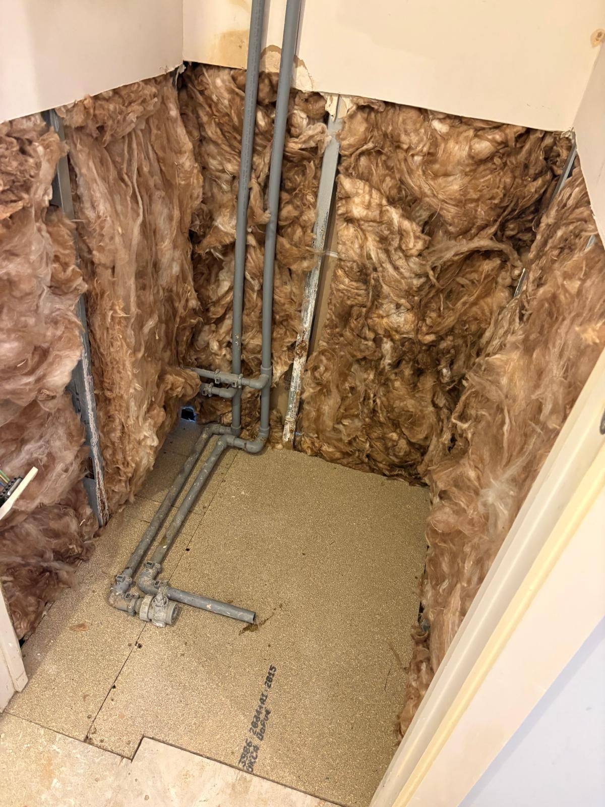 Services cupboard stripped back